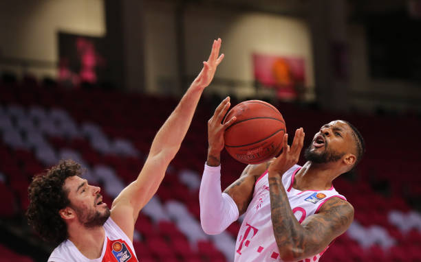 松的画面 松的画面